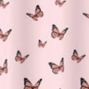 Meet your Posher, Paige